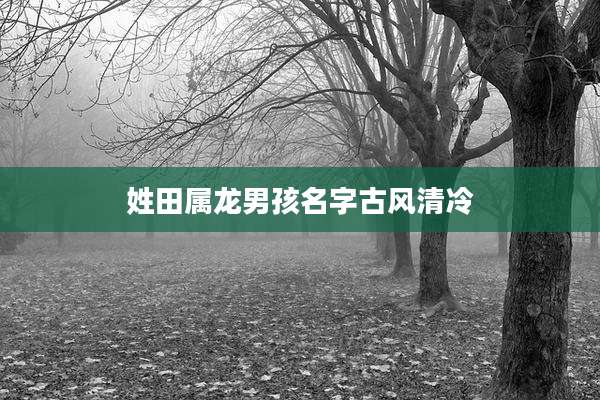 姓田属龙男孩名字古风清冷