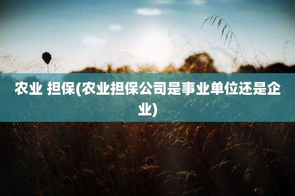 农业 担保(农业担保公司是事业单位还是企业)