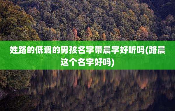 姓路的低调的男孩名字带晨字好听吗(路晨这个名字好吗)
