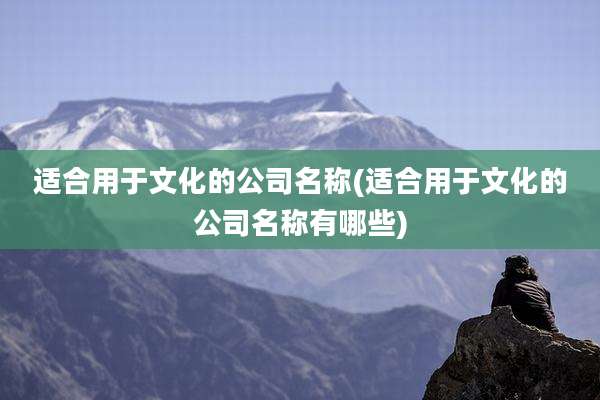适合用于文化的公司名称(适合用于文化的公司名称有哪些)