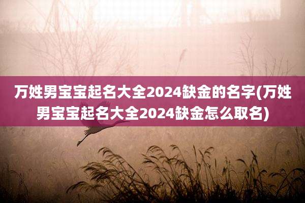 万姓男宝宝起名大全2024缺金的名字(万姓男宝宝起名大全2024缺金怎么取名)