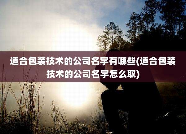 适合包装技术的公司名字有哪些(适合包装技术的公司名字怎么取)