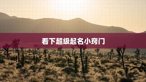 看下超级起名小窍门