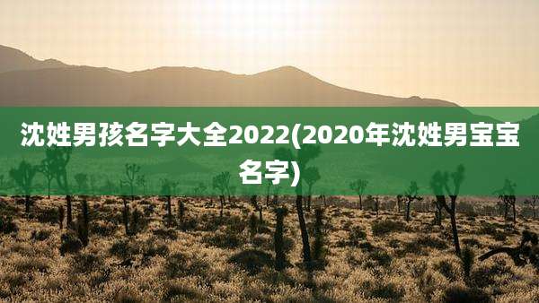 沈姓男孩名字大全2022(2020年沈姓男宝宝名字)