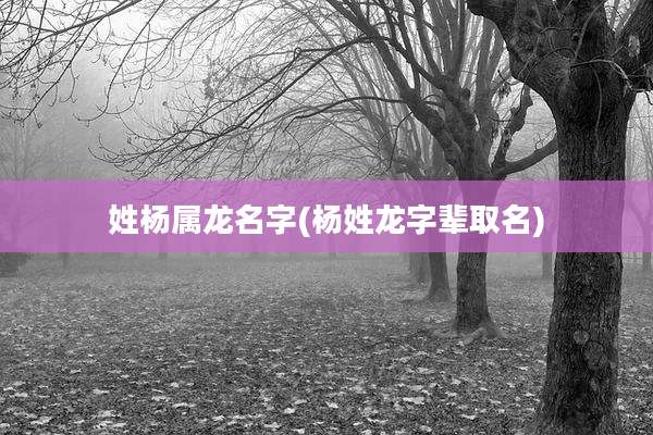 姓杨属龙名字(杨姓龙字辈取名)