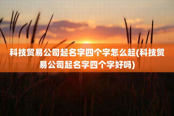 科技贸易公司起名字四个字怎么起(科技贸易公司起名字四个字好吗)