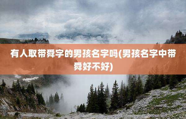 有人取带舜字的男孩名字吗(男孩名字中带舜好不好)
