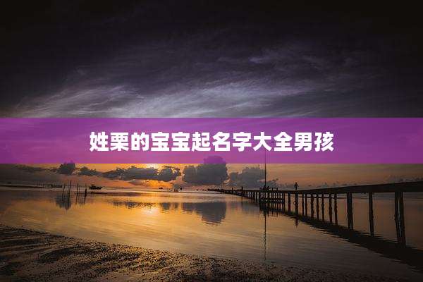 姓栗的宝宝起名字大全男孩