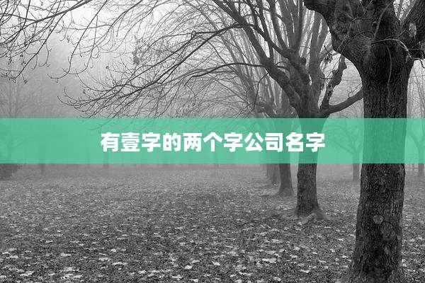 有壹字的两个字公司名字