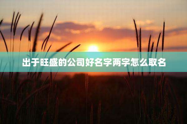 出于旺盛的公司好名字两字怎么取名