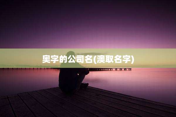 奥字的公司名(澳取名字)