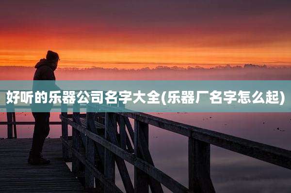 好听的乐器公司名字大全(乐器厂名字怎么起)