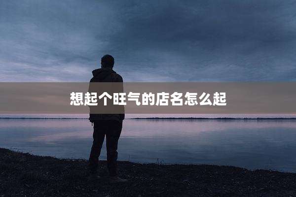 想起个旺气的店名怎么起