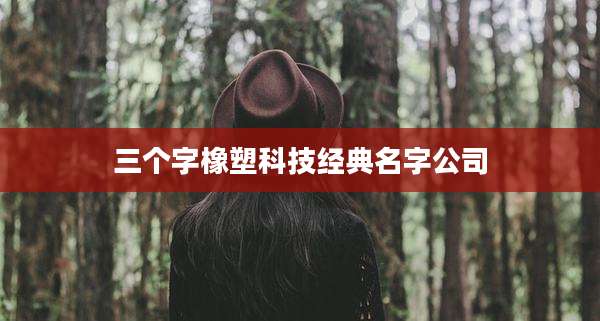 三个字橡塑科技经典名字公司