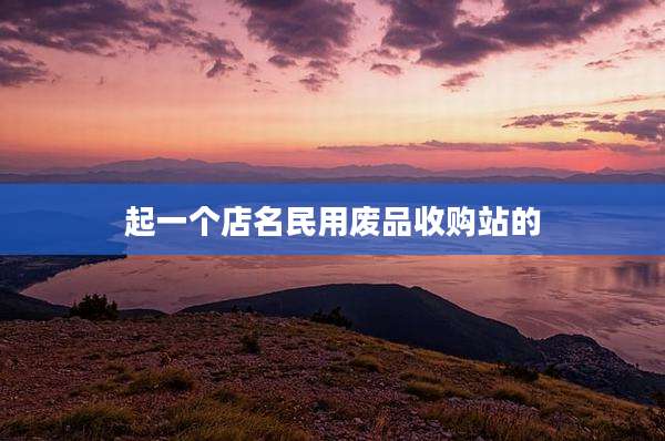 起一个店名民用废品收购站的