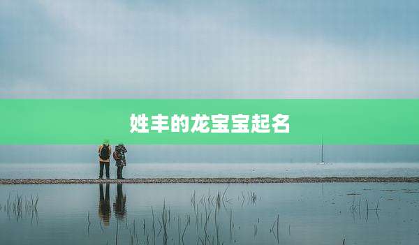姓丰的龙宝宝起名