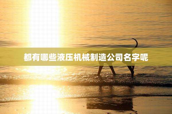 都有哪些液压机械制造公司名字呢