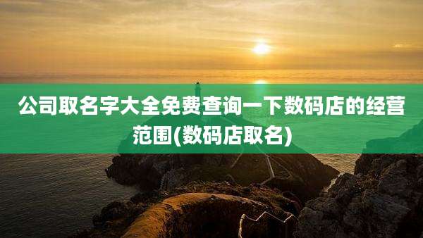 公司取名字大全免费查询一下数码店的经营范围(数码店取名)