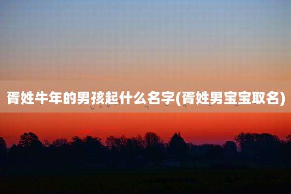 胥姓牛年的男孩起什么名字(胥姓男宝宝取名)