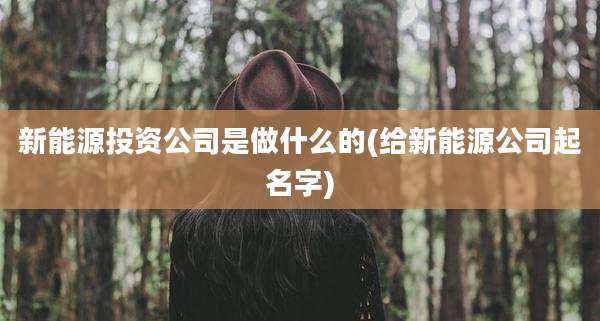 新能源投资公司是做什么的(给新能源公司起名字)