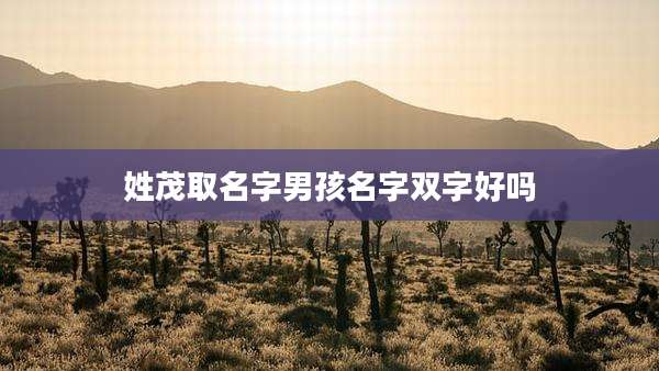 姓茂取名字男孩名字双字好吗