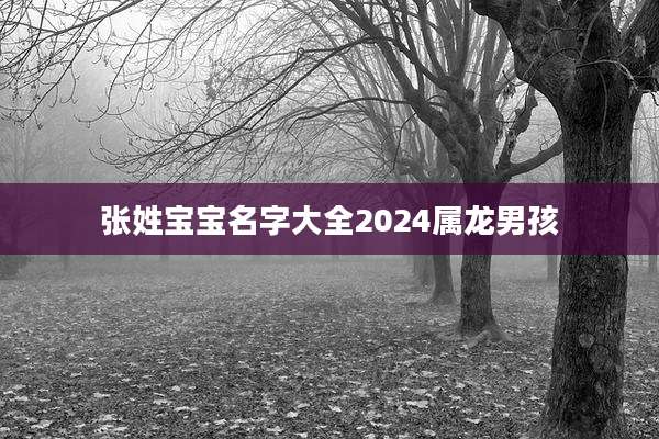 张姓宝宝名字大全2024属龙男孩
