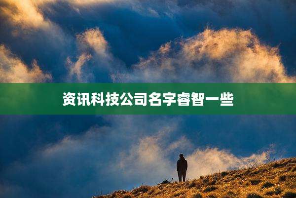 资讯科技公司名字睿智一些