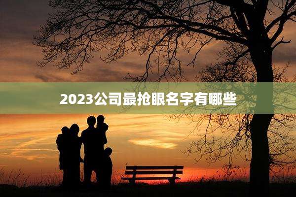 2023公司最抢眼名字有哪些