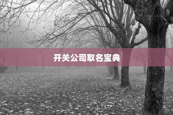 开关公司取名宝典