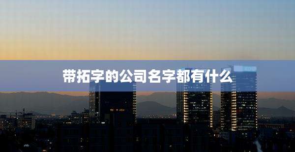 带拓字的公司名字都有什么