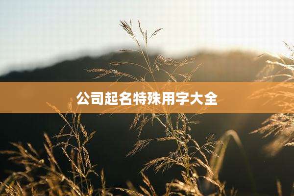 公司起名特殊用字大全
