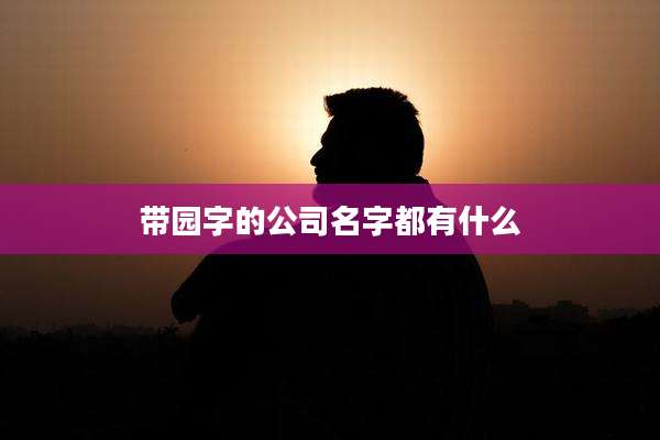 带园字的公司名字都有什么