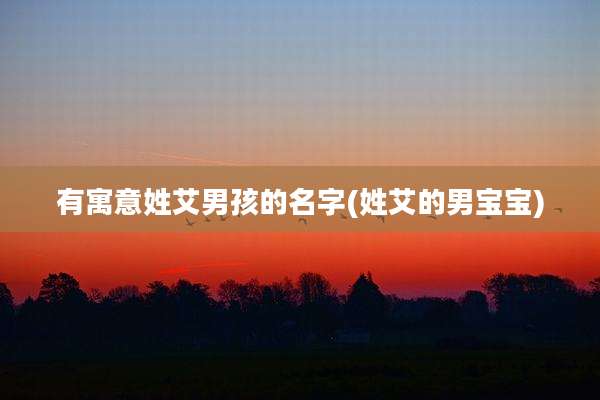 有寓意姓艾男孩的名字(姓艾的男宝宝)