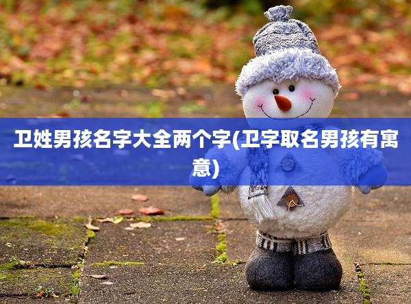 卫姓男孩名字大全两个字(卫字取名男孩有寓意)