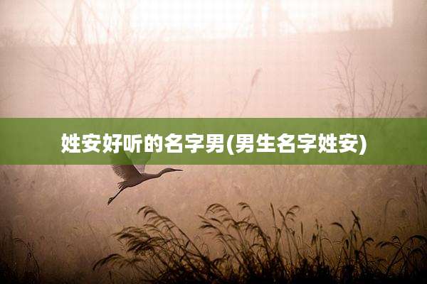 姓安好听的名字男(男生名字姓安)