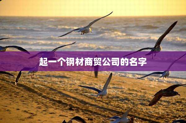 起一个钢材商贸公司的名字