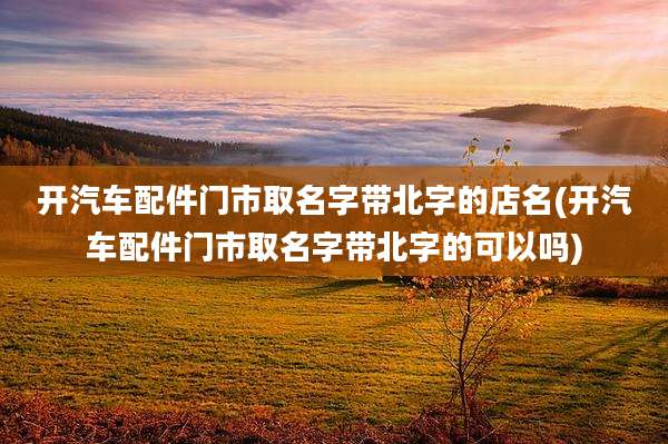 开汽车配件门市取名字带北字的店名(开汽车配件门市取名字带北字的可以吗)
