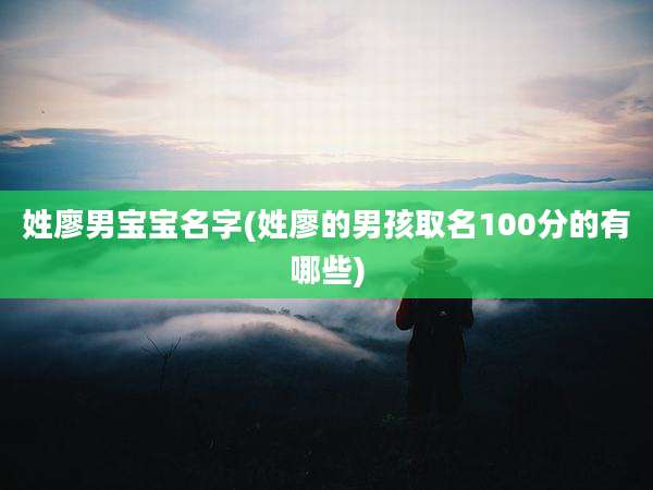 姓廖男宝宝名字(姓廖的男孩取名100分的有哪些)