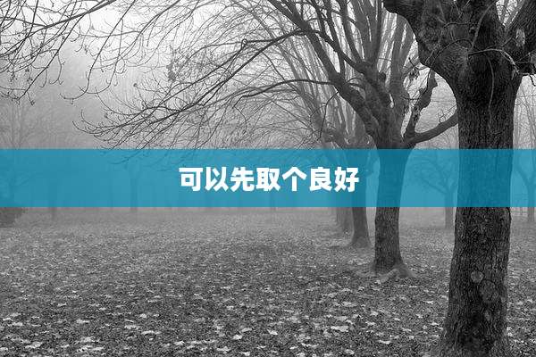 可以先取个良好