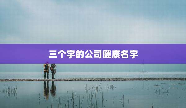 三个字的公司健康名字