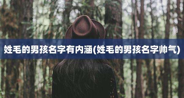 姓毛的男孩名字有内涵(姓毛的男孩名字帅气)