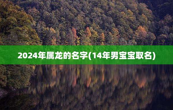 2024年属龙的名字(14年男宝宝取名)