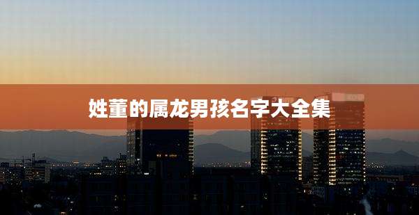 姓董的属龙男孩名字大全集