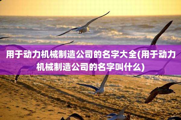 用于动力机械制造公司的名字大全(用于动力机械制造公司的名字叫什么)