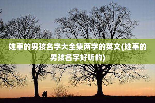 姓辜的男孩名字大全集两字的英文(姓辜的男孩名字好听的)