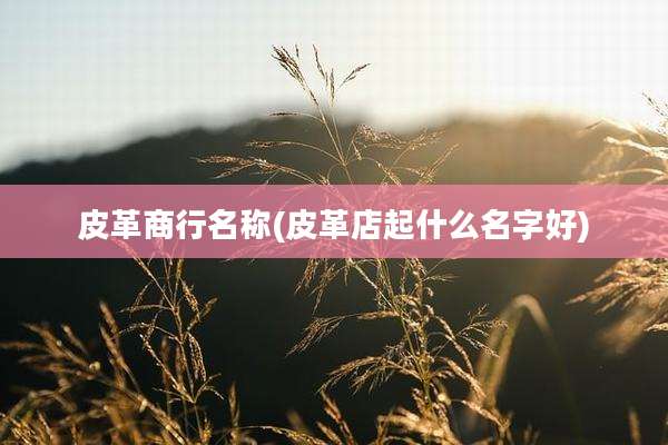 皮革商行名称(皮革店起什么名字好)