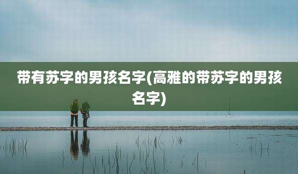 带有苏字的男孩名字(高雅的带苏字的男孩名字)