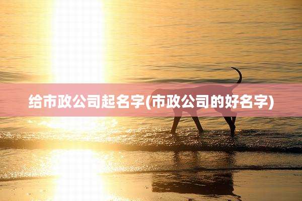 给市政公司起名字(市政公司的好名字)