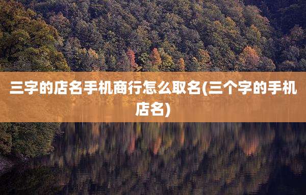 三字的店名手机商行怎么取名(三个字的手机店名)