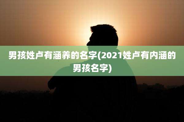 男孩姓卢有涵养的名字(2021姓卢有内涵的男孩名字)